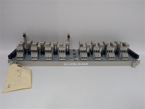 1C31223G01+ EMERSON