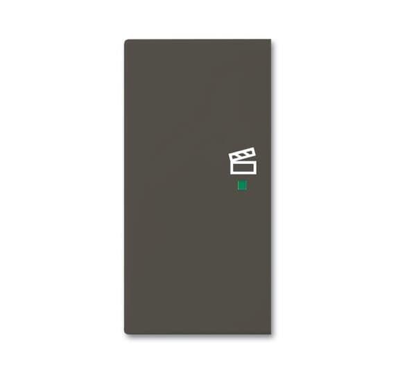 Клавиша двойная левая SRS-2-L-95 free@home сцена Basic 55 chateau-черн. ABB 2CKA006220A0694