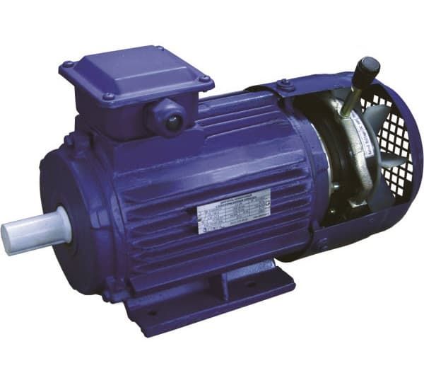 Электродвигатель 5АИ 112 MA6 ЕT ( ЕТ1, ЕT2) 3/1000 IM1001/1081 3кВт 380/220В У3