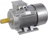 Электродвигатель АИР DRIVE 3ф 315S2 660В 160кВт 3000об/мин 1081 ИЭК DRV315-S2-160-0-3010