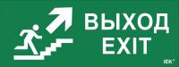 Этикетка самоклеящаяся "Выход/лестница вверх/фигура" ССА 1005 ИЭК LPC10-1-35-13-VLVVF