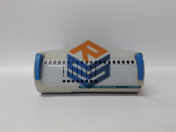 1C31203G01 EMERSON