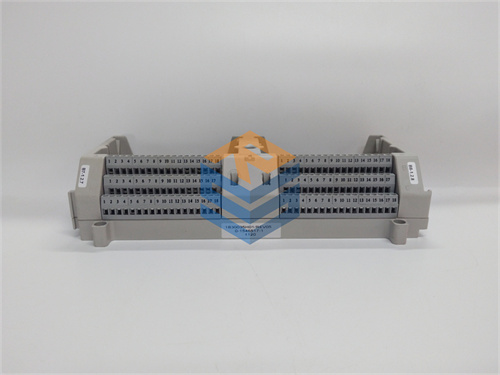 EMERSON 1B30035H01