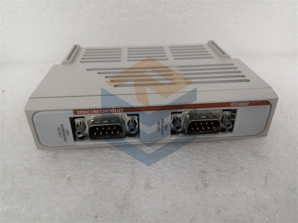 1C31169G01 EMERSON