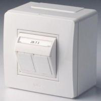 Коробка PDD-N60 в сборе с 2 розетками BRAVA RJ45 кат.5е (телефон/компьютер) бел. DKC 10656