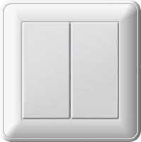 Переключатель 2-кл. СП W59 16А IP20 в сборе сл. кость SchE VS616-256-28