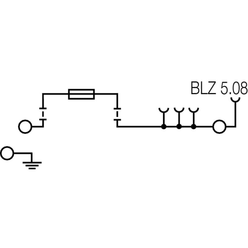 Клемма с предохранителем WMF 2.5 FU BLZ PE 100-250V SW 1162860000