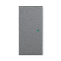 Клавиша Levit двойная без символа free@home сталь ABB 2CHH622000A4069