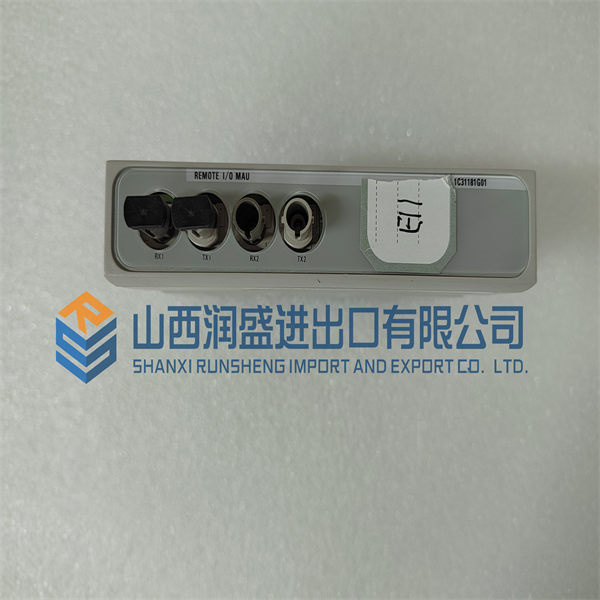 1C31181G01 EMERSON