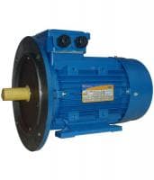 Электродвигатель 5АИ (АИР) 100 L2 ЖУ2 5,5/3000 IM2001/2081 5,5кВт 380В У1