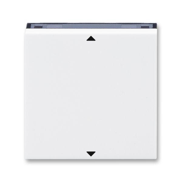 Элемент управляющий Busch-Jalousiecontrol®II ABB Levit с маркировкой бел. / дым. черн. ABB 2CHH700110A4062