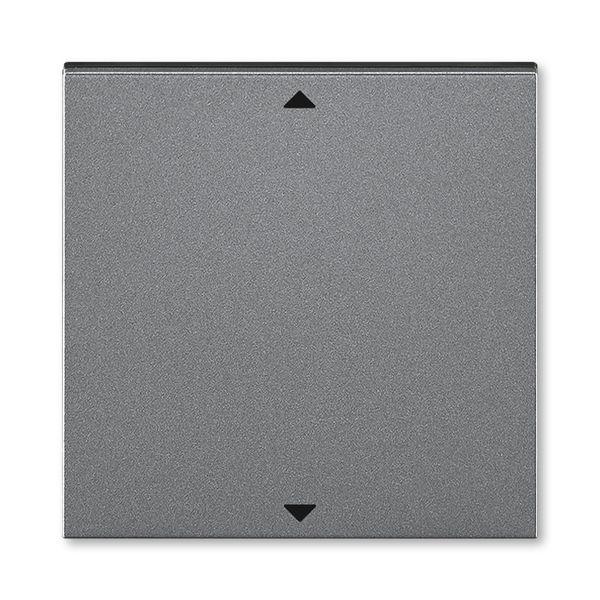 Элемент управляющий Busch-Jalousiecontrol®II ABB Levit с маркировкой сталь / дым. черн. ABB 2CHH700110A4069