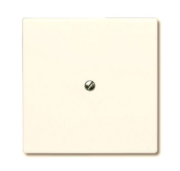 Заглушка с суппортом (IP44) Allwetter 44 сл. кость ABB 2CKA001710A2264