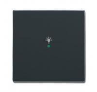 Клавиша одинарная SRL-1-81 free@home освещение future антрацит ABB 2CKA006220A0140