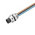 Гнездо произвольной сборки| SAIE-M8R-3-0.5U-FP-M8 1861280000