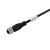 Шинный кабель SAIL-M12BG-CD-8.0B 1060120800