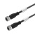 Шинный кабель SAIL-M12BGM12G-CD-0.3A 2455990030
