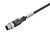 Круглые соед. разъемы|Прово SAIP-M12G-3-0.1U 1108800010