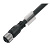 Круглые соед. разъемы|Прово SAIL-M12BG-8S20U 1890522000